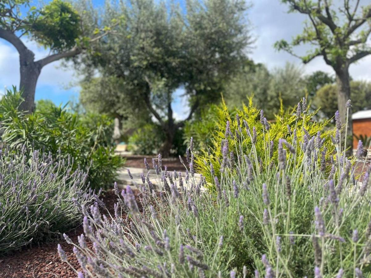 Apartamento Maison Dei Trulli Locorotondo Exterior foto