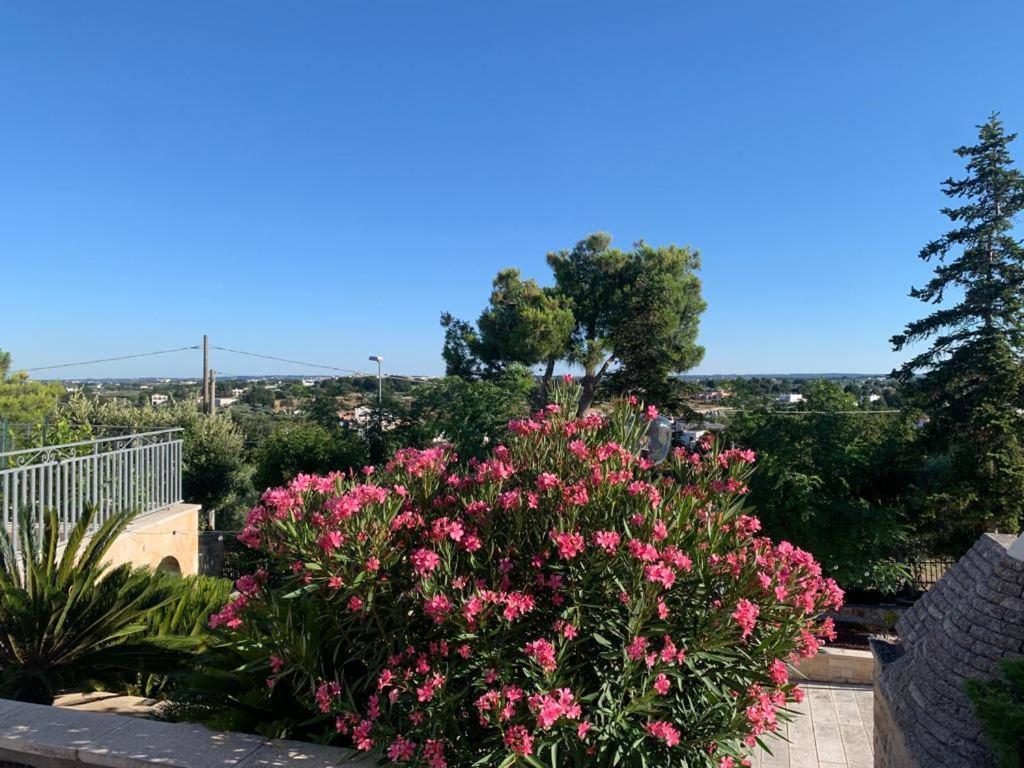 Apartamento Maison Dei Trulli Locorotondo Exterior foto